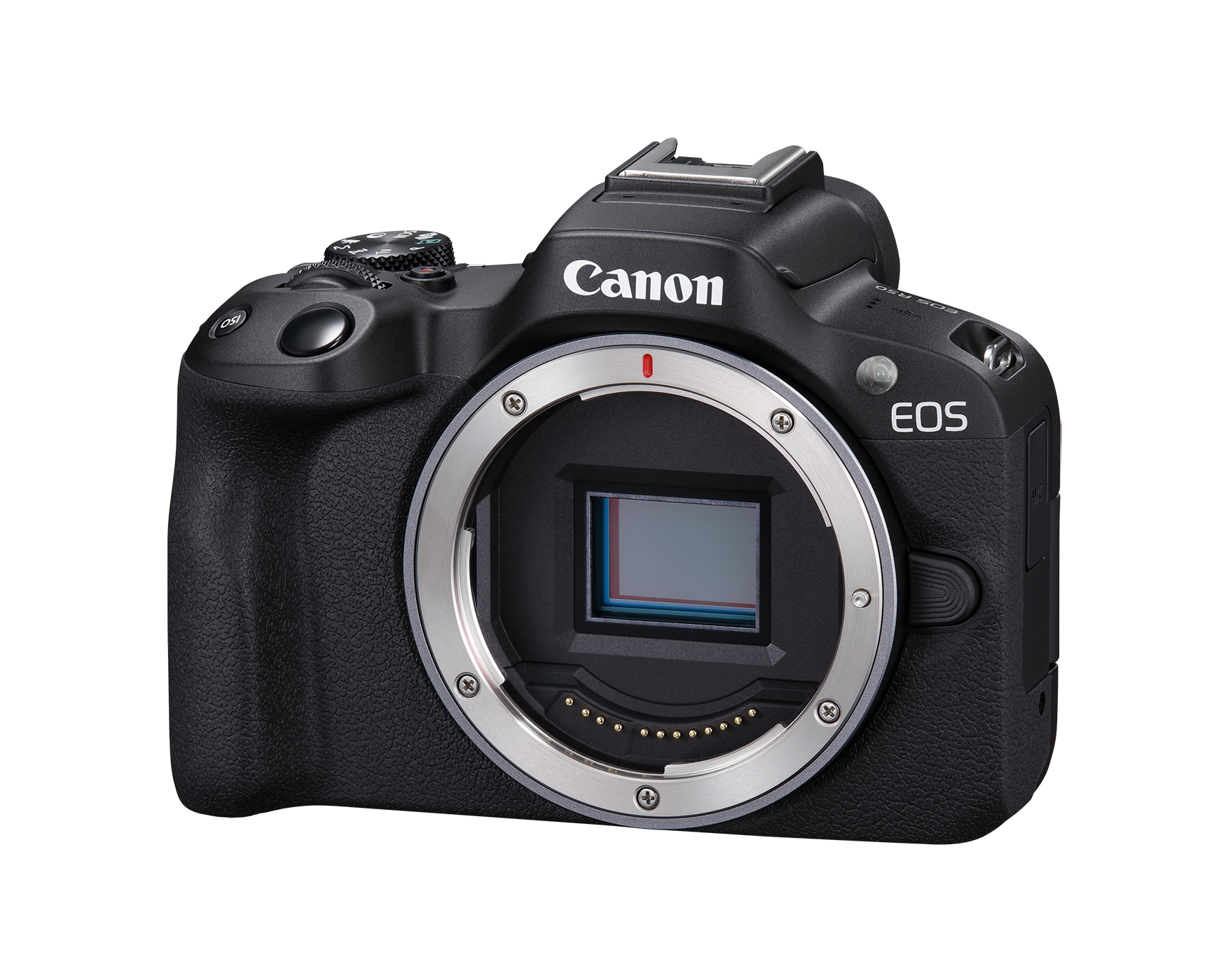  Canon EOS R8 Full-Frame Mirrorless Camera w/RF24-50mm F4.5-6.3  IS STM Lens, 24.2 MP, 4K Video, DIGIC X Image Processor, Subject Detection  & Tracking, Compact, Smartphone Connection, Content Creator : Electronics