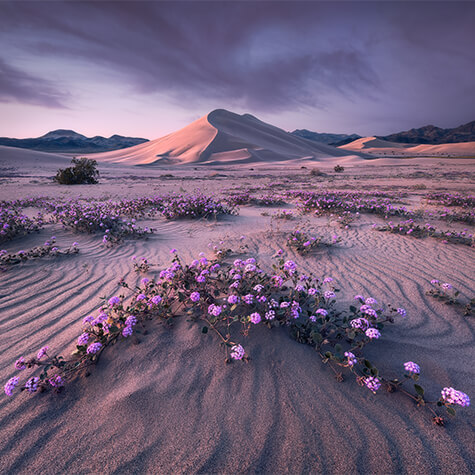 Erin Babnik Sample Image