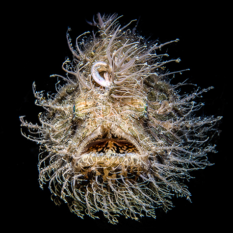 Nadia Aly Sample Image