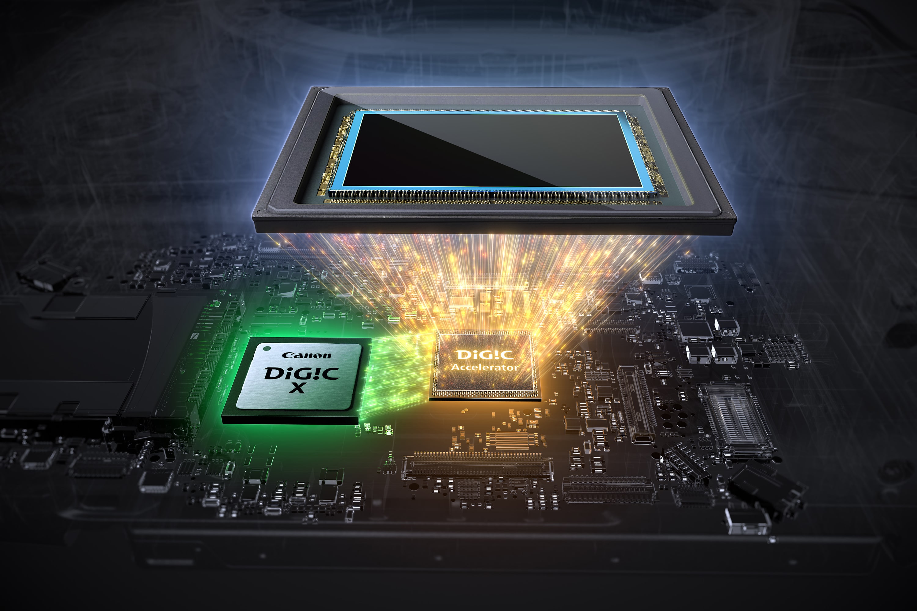 Shop Canon EOS R1 Body | Canon U.S.A, Inc.