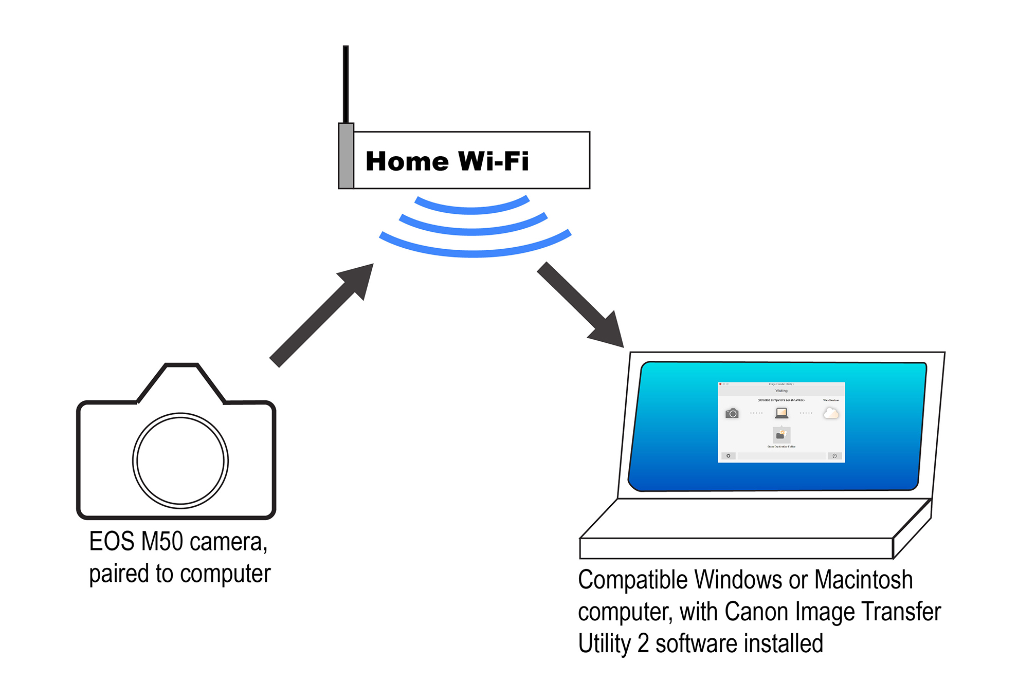 Canon EOS M50 Transferring Images Automatically Canon U.S.A., Inc.