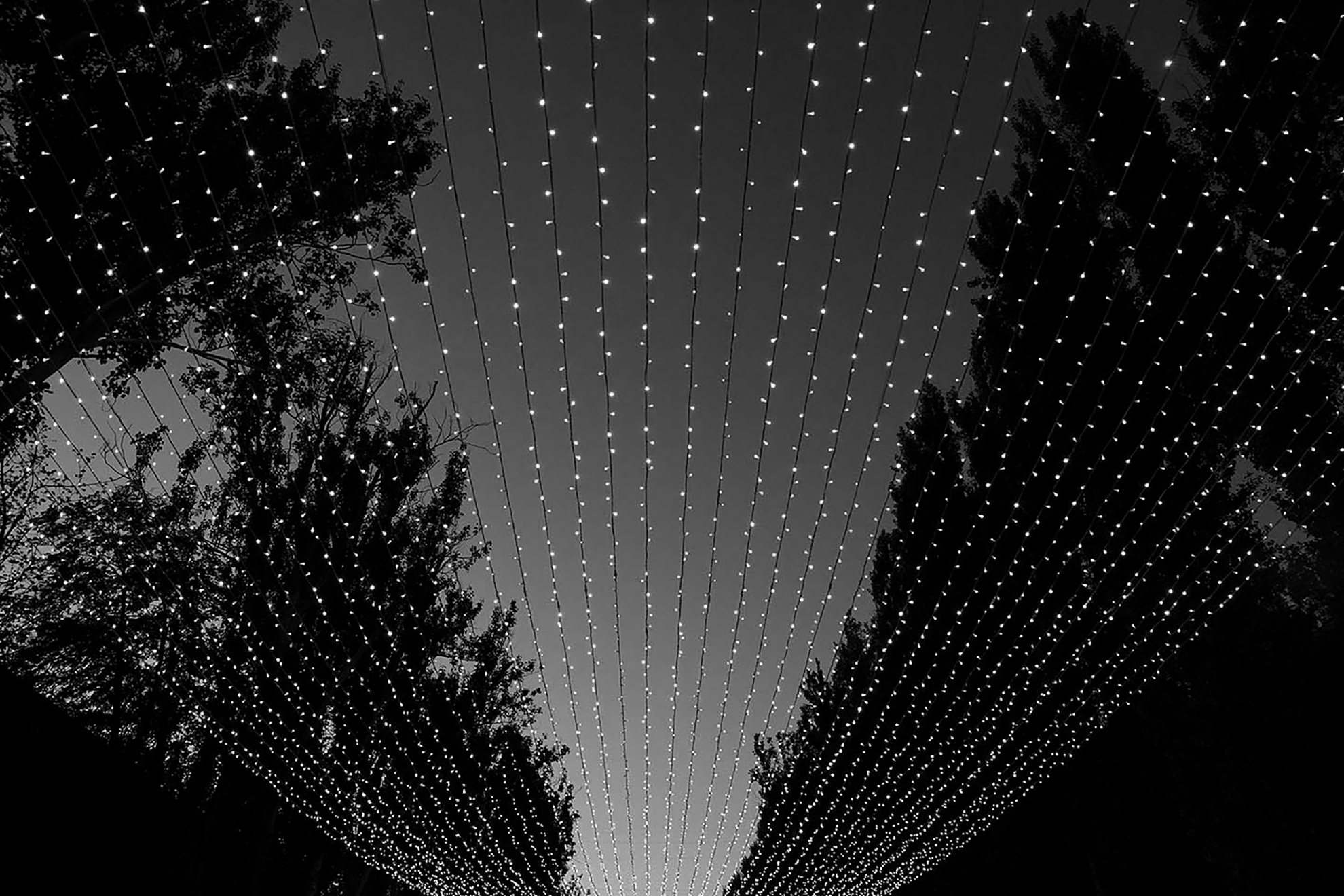 Transition to Black and White Digital Photography Canon U.S.A., Inc.